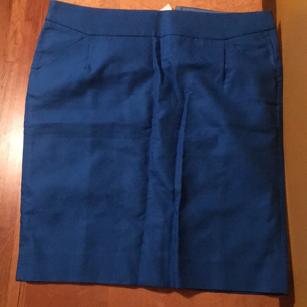 Brand new J Crew skirt